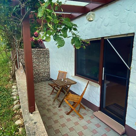 Gemuetliche Wohnung Mit Neckarblick Eberbach (Rhein-Neckar-Kreis) Exterior foto